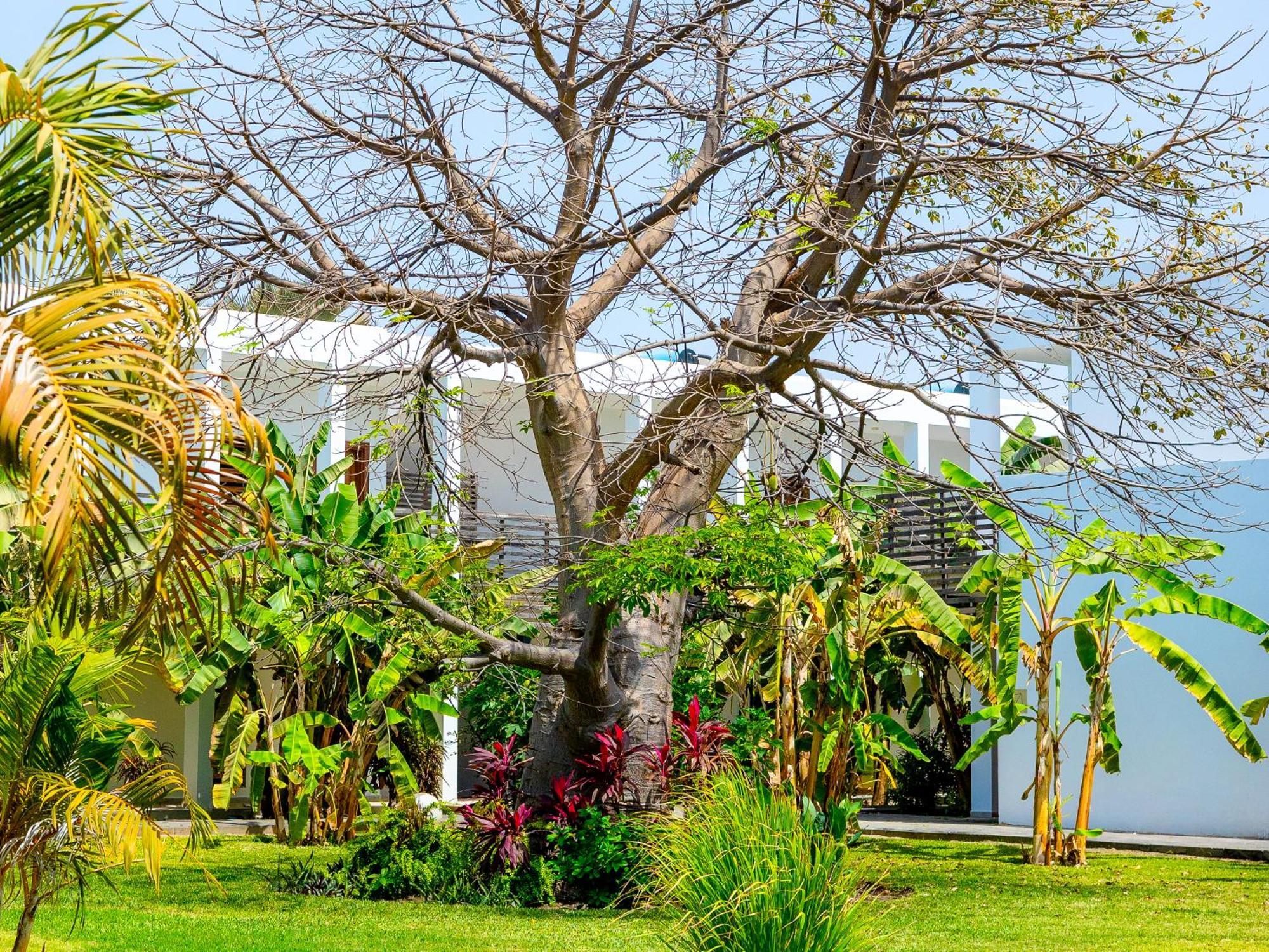 Tamala Beach Resort (Adults Only) Kotu Exteriér fotografie